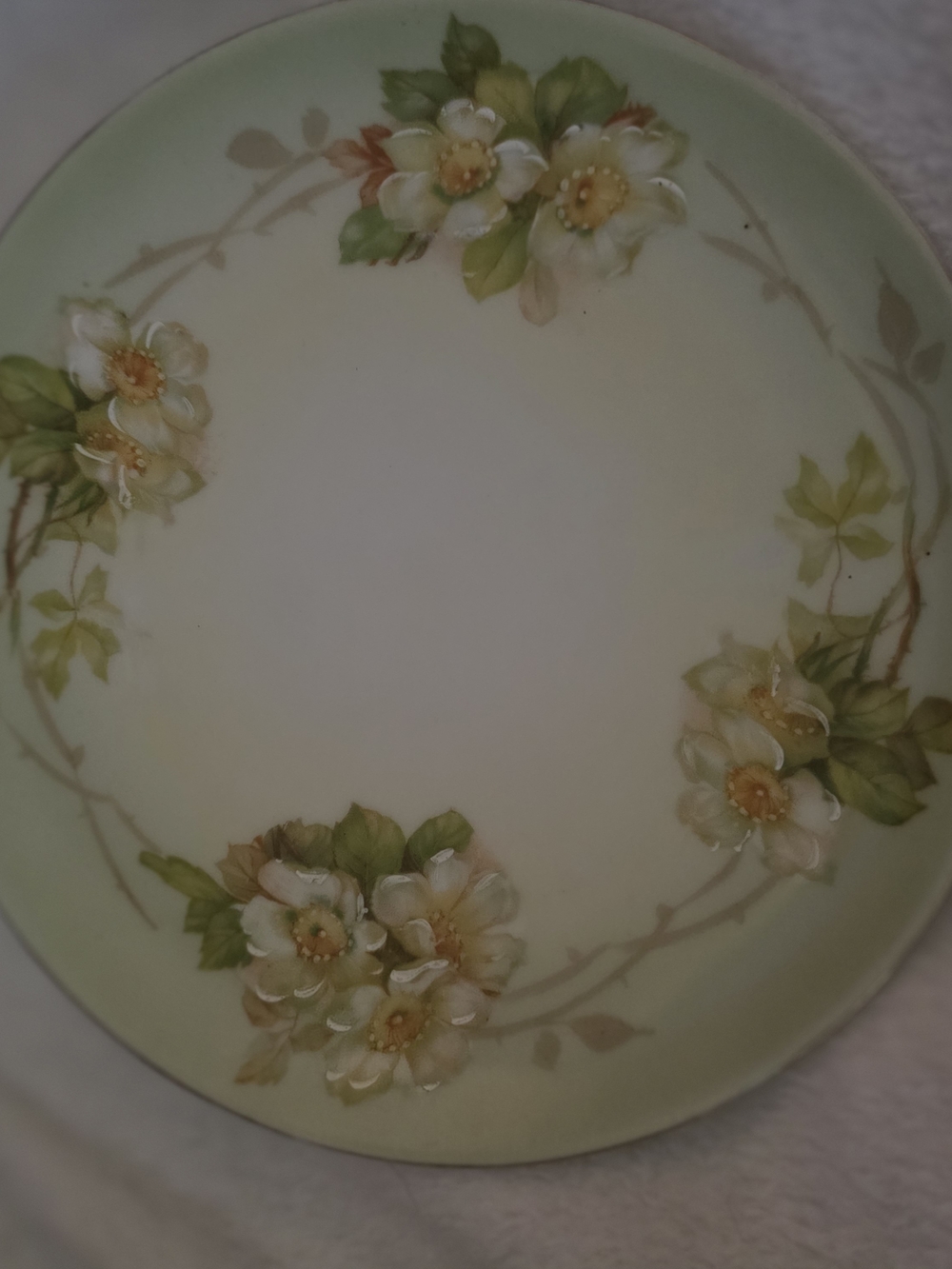 Vintage Hand-Painted Porcelain Decorative Plate Green